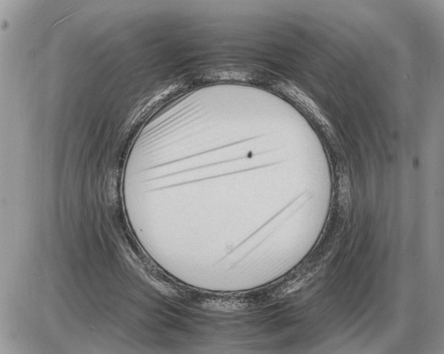 X0000086060537200704202103