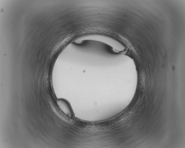 X0000086060538200704202103