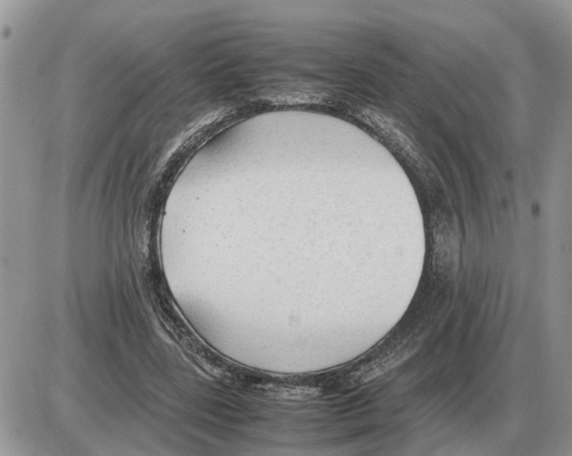 X0000086060539200704202103