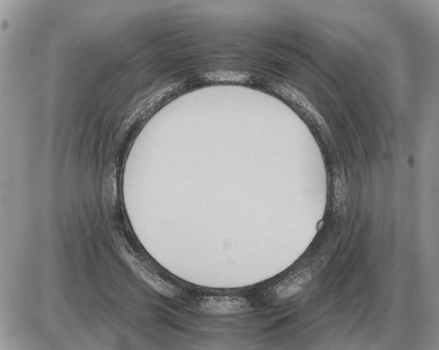 X0000086060541200704202103