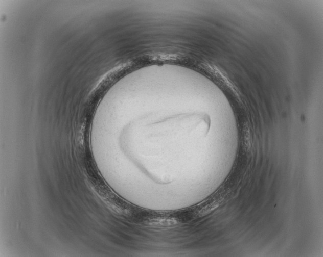 X0000086060543200704202103