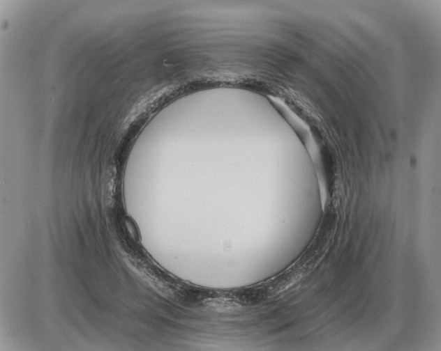 X0000086060544200704202103