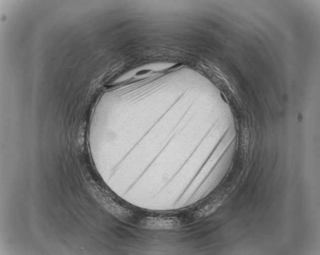 X0000086060545200704202103