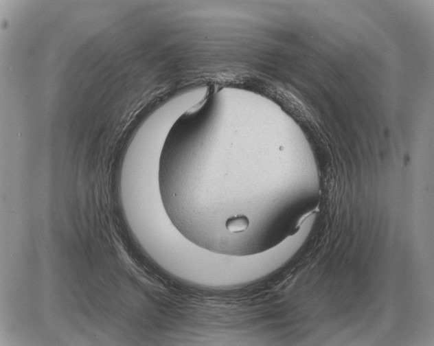 X0000086060546200704202103