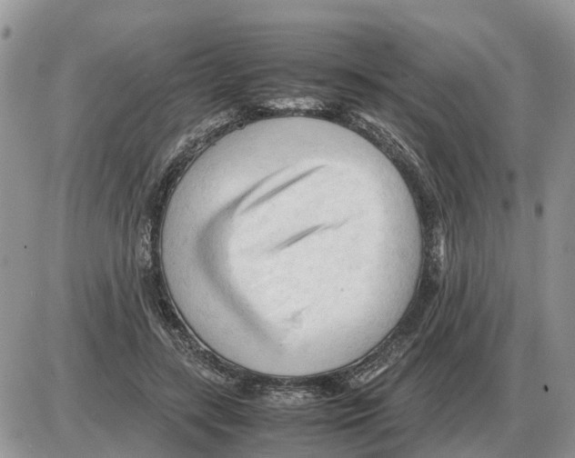 X0000086060547200704202103