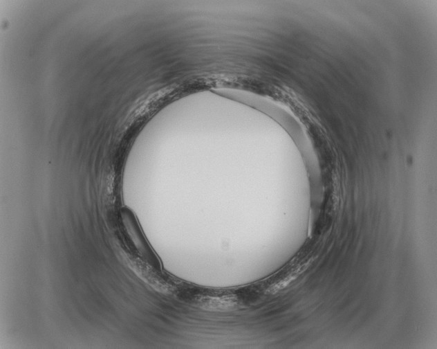 X0000086060548200704202103