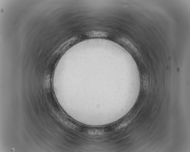 X0000086060549200704202103