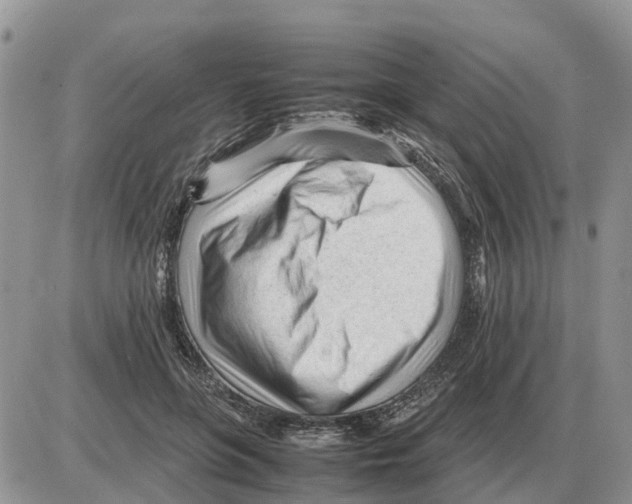 X0000086060551200704202103