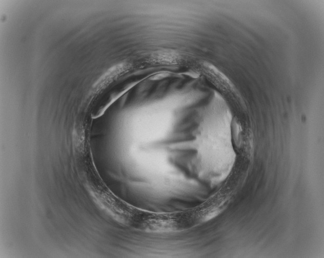 X0000086060552200704202103