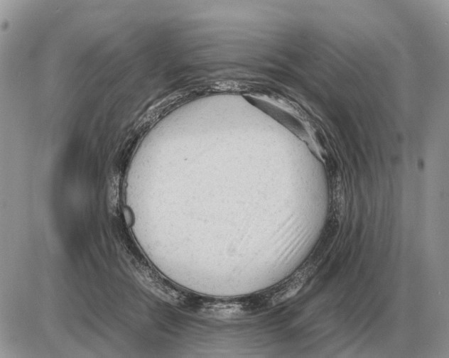 X0000086060554200704202103