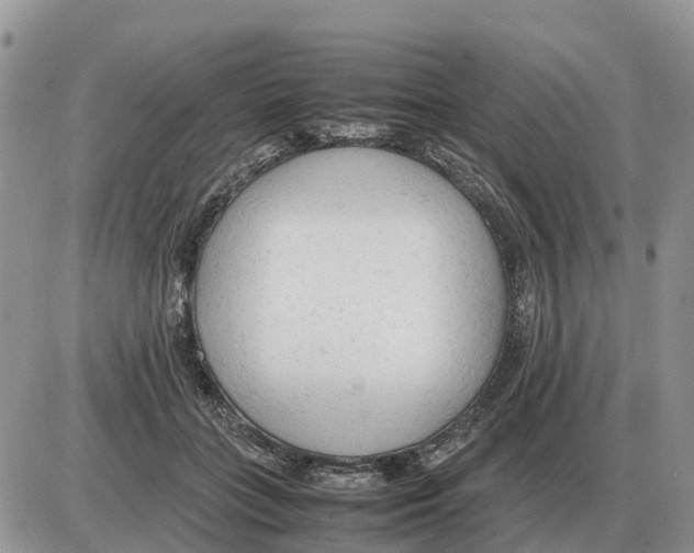 X0000086060555200704202103