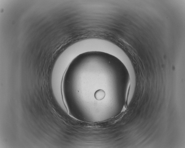 X0000086060556200704202103