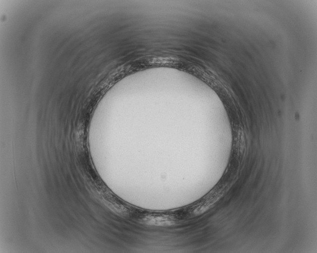 X0000086060557200704202103