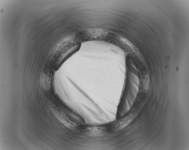 X0000086060558200704202103