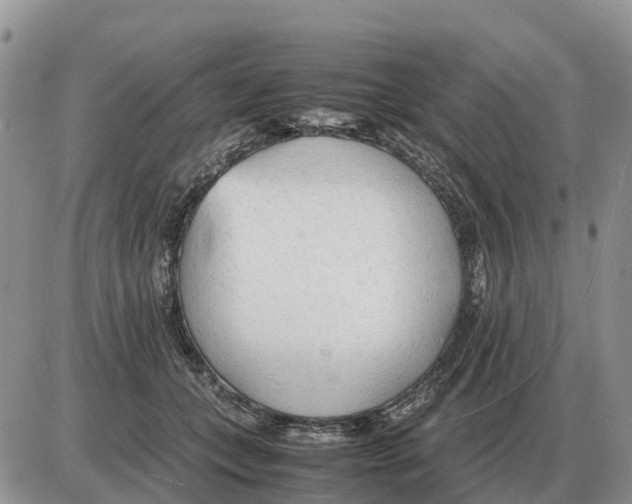 X0000086060559200704202103