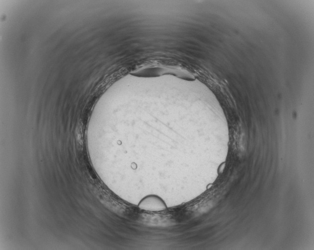 X0000086060561200704202103