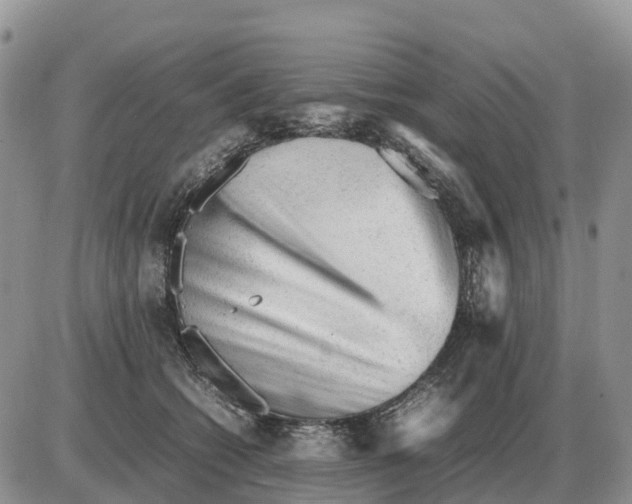 X0000086060562200704202104