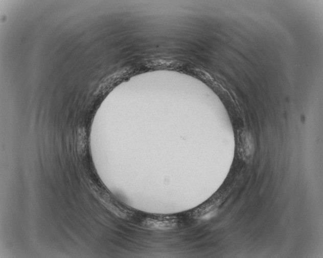 X0000086060563200704202104