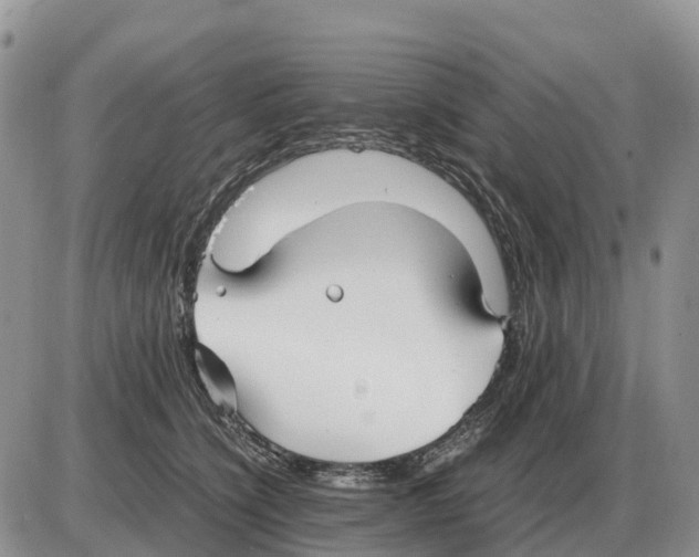 X0000086060564200704202104