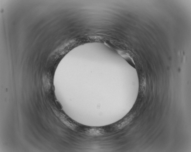 X0000086060566200704202104