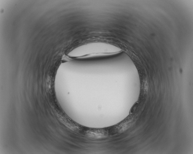 X0000086060567200704202104