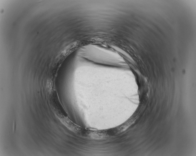 X0000086060568200704202104