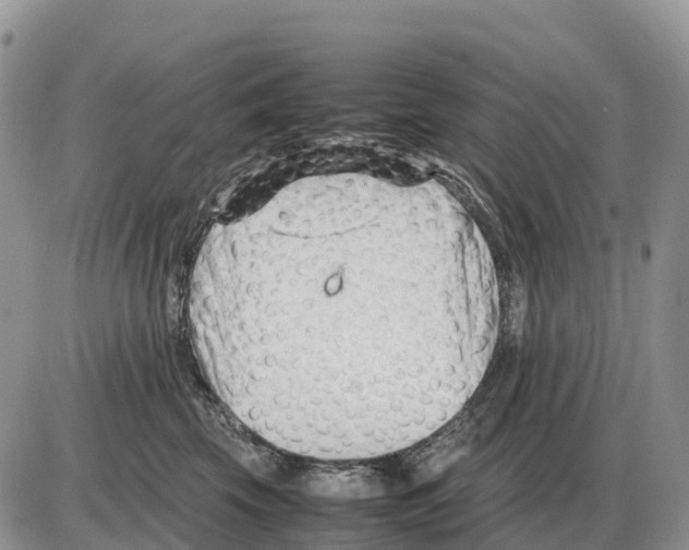 X0000086060569200704202104