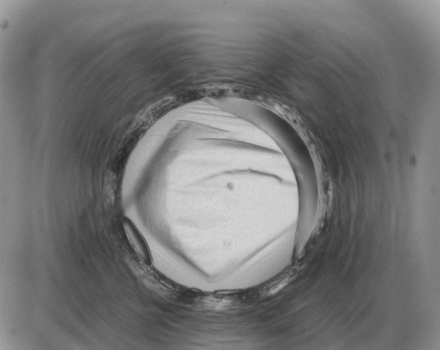 X0000086060570200704202104