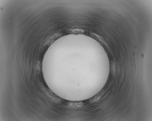 X0000086060571200704202104