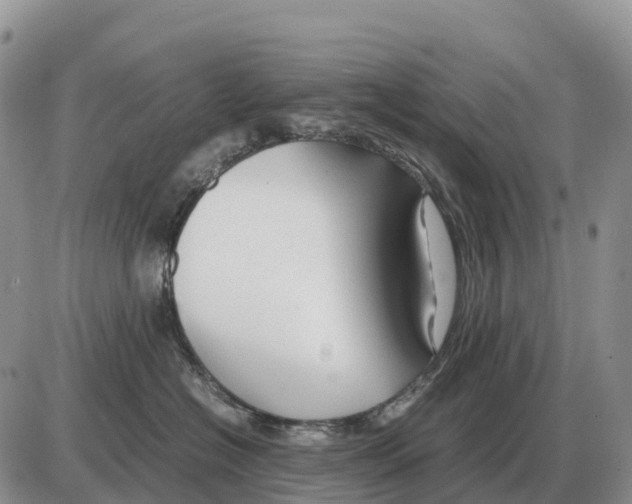 X0000086060574200704202104