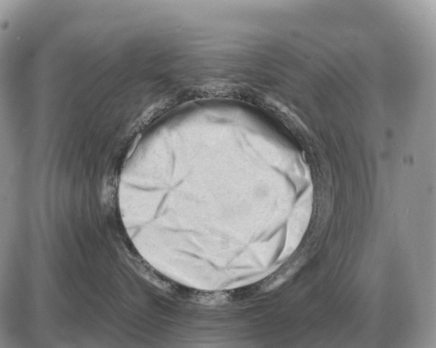 X0000086060576200704202104