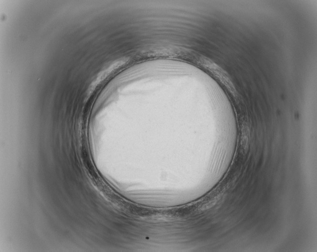 X0000086060578200704202103