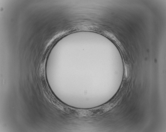 X0000086060579200704202103