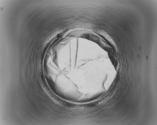 X0000086060581200704202103