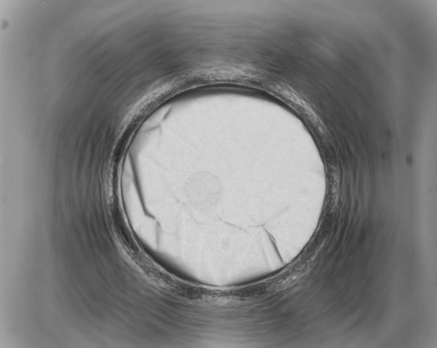 X0000086060582200704202103