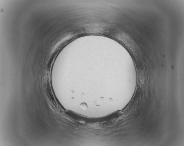 X0000086060583200704202103