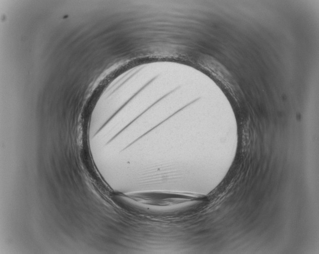 X0000086060584200704202103