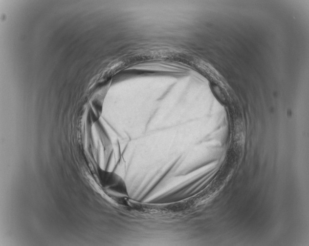 X0000086060585200704202103