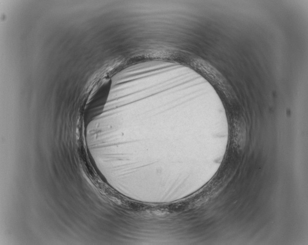 X0000086060586200704202103