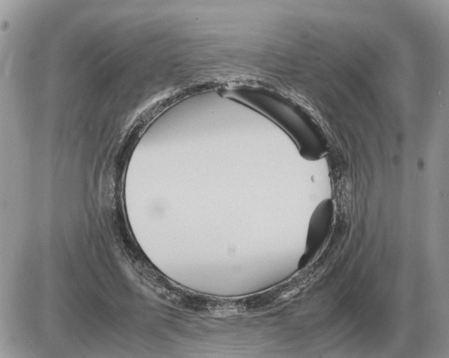 X0000086060587200704202103