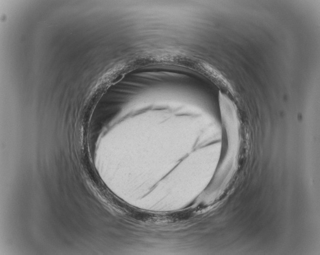 X0000086060589200704202103