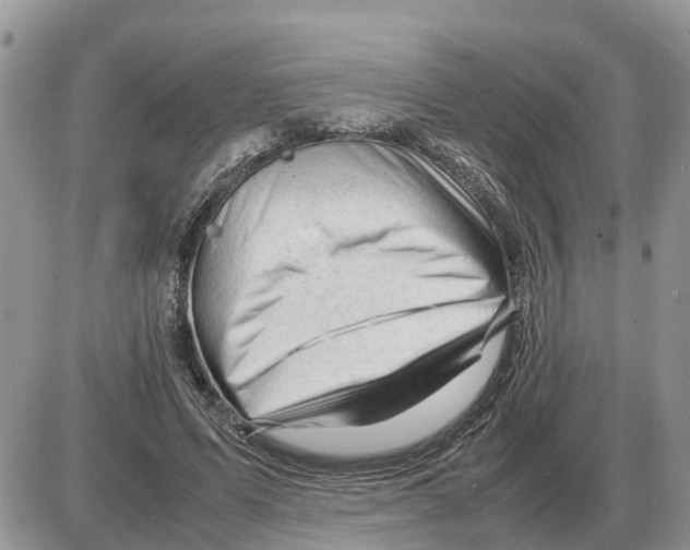 X0000086060591200704202103