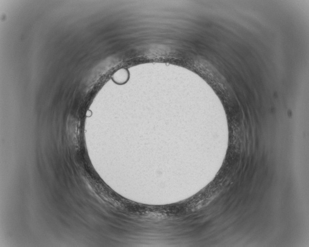 X0000086060592200704202103