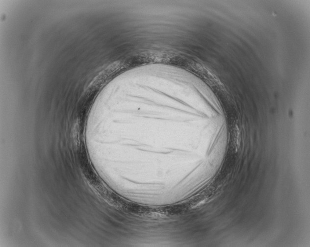 X0000086060594200704202103