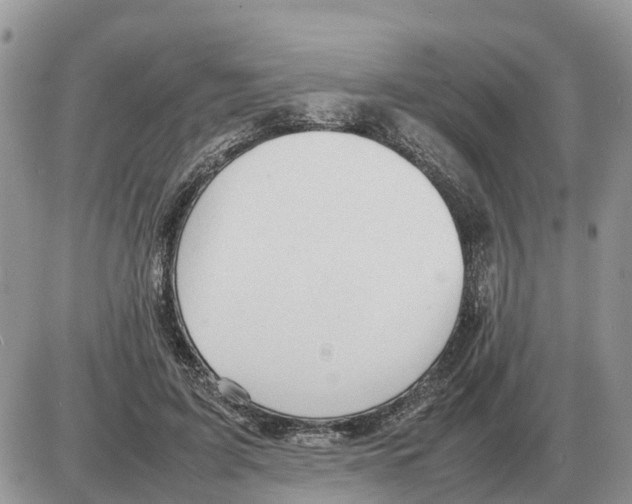 X0000086060595200704202103