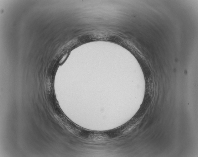 X0000086060597200704202103