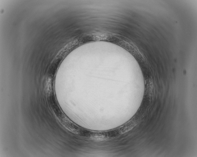 X0000086060598200704202103