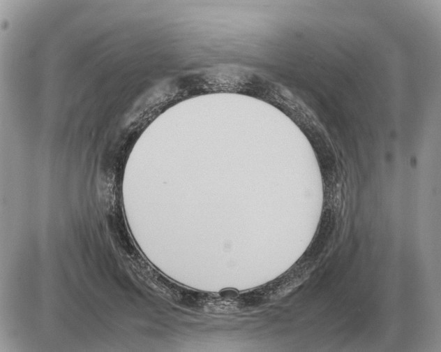 X0000086060599200704202103