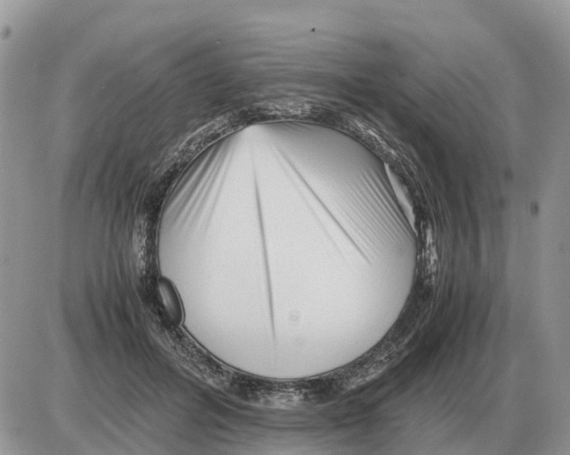 X0000086060600200704202103