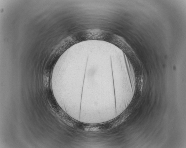 X0000086060602200704202103